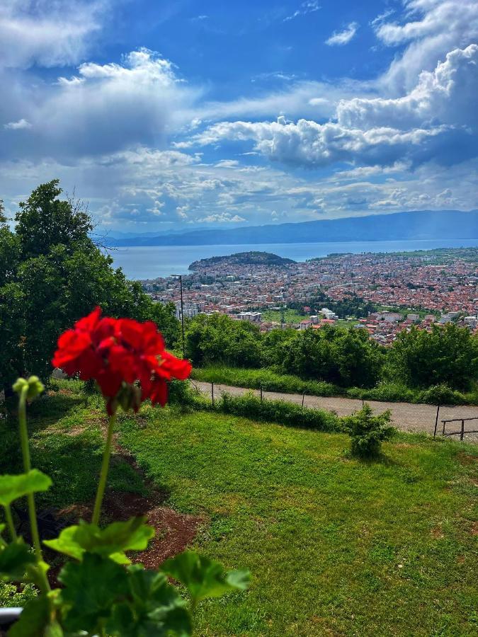 & Cityview Ohri